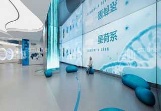 黄浦区互联网程序服务一体化