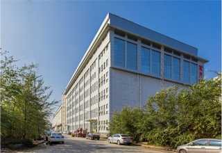 青浦办公室绿植租赁批发